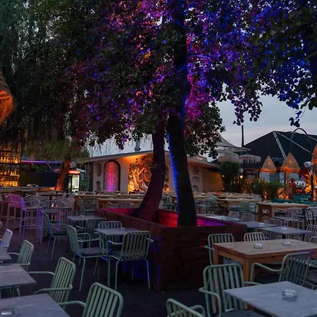 Regulus Apartment Sapanca